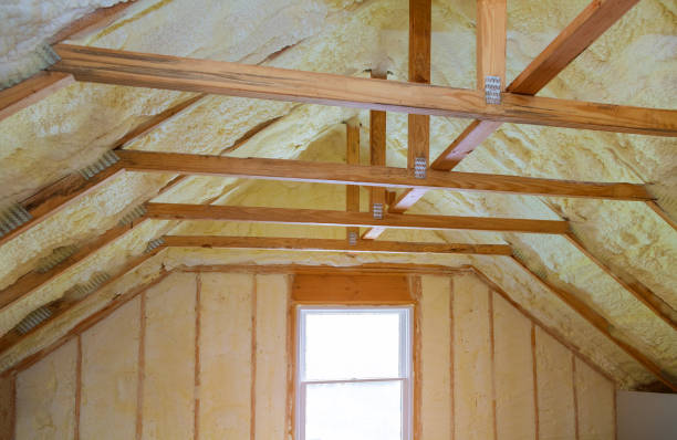 Best Insulation Inspection Services  in Justin, TX