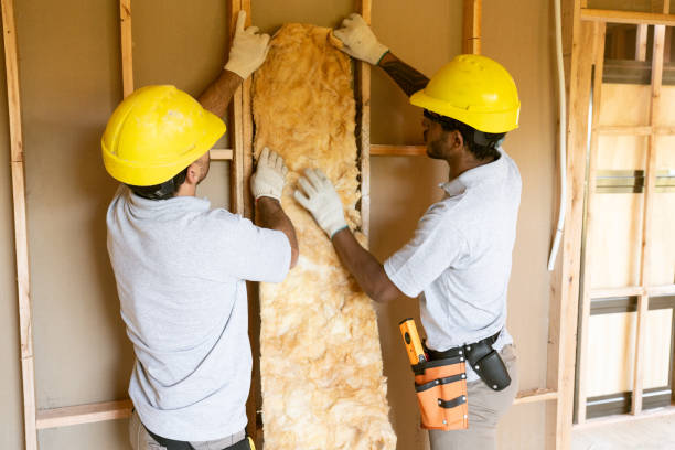 Professional Insulation Contractor in Justin, TX