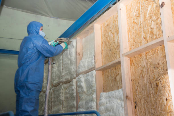 Best Spray Foam Insulation  in Justin, TX